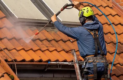 Démoussage et hydrofuge de toiture à Neffiès